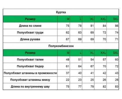 Костюм DAM Xtherm утепленный куртка+полукомбинезон XXL Костюм DAM Xtherm утепленный куртка+полукомбинезон XXL