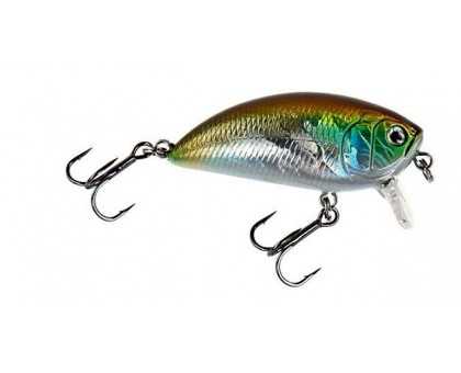 Воблер DAM Effzett Pro-Lite Shallow Crank 50мм 6гр (dirty shiner) FL Воблер DAM Effzett Pro-Lite Shallow Crank 50мм 6гр (dirty shiner) FL