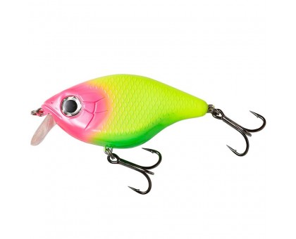 Воблер DAM MADCAT Tight-S Shallow 120мм 65гр (candy) Воблер DAM MADCAT Tight-S Shallow 120мм 65гр (candy)