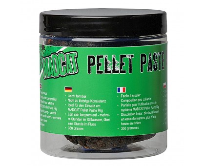 Паста сомова DAM PELLET PASTE 350г (SQUID)