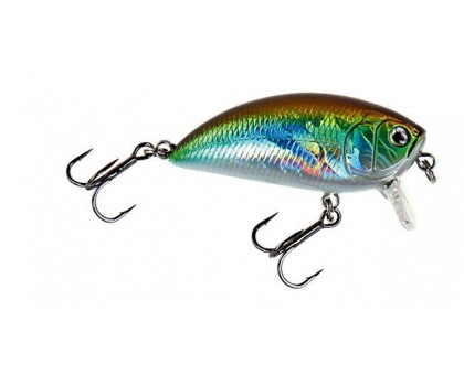 Воблер DAM Effzett Pro-Lite Shallow Crank 50мм 6гр (smelt) FL Воблер DAM Effzett Pro-Lite Shallow Crank 50мм 6гр (smelt) FL